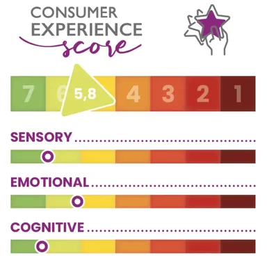 Consumer Experience Score